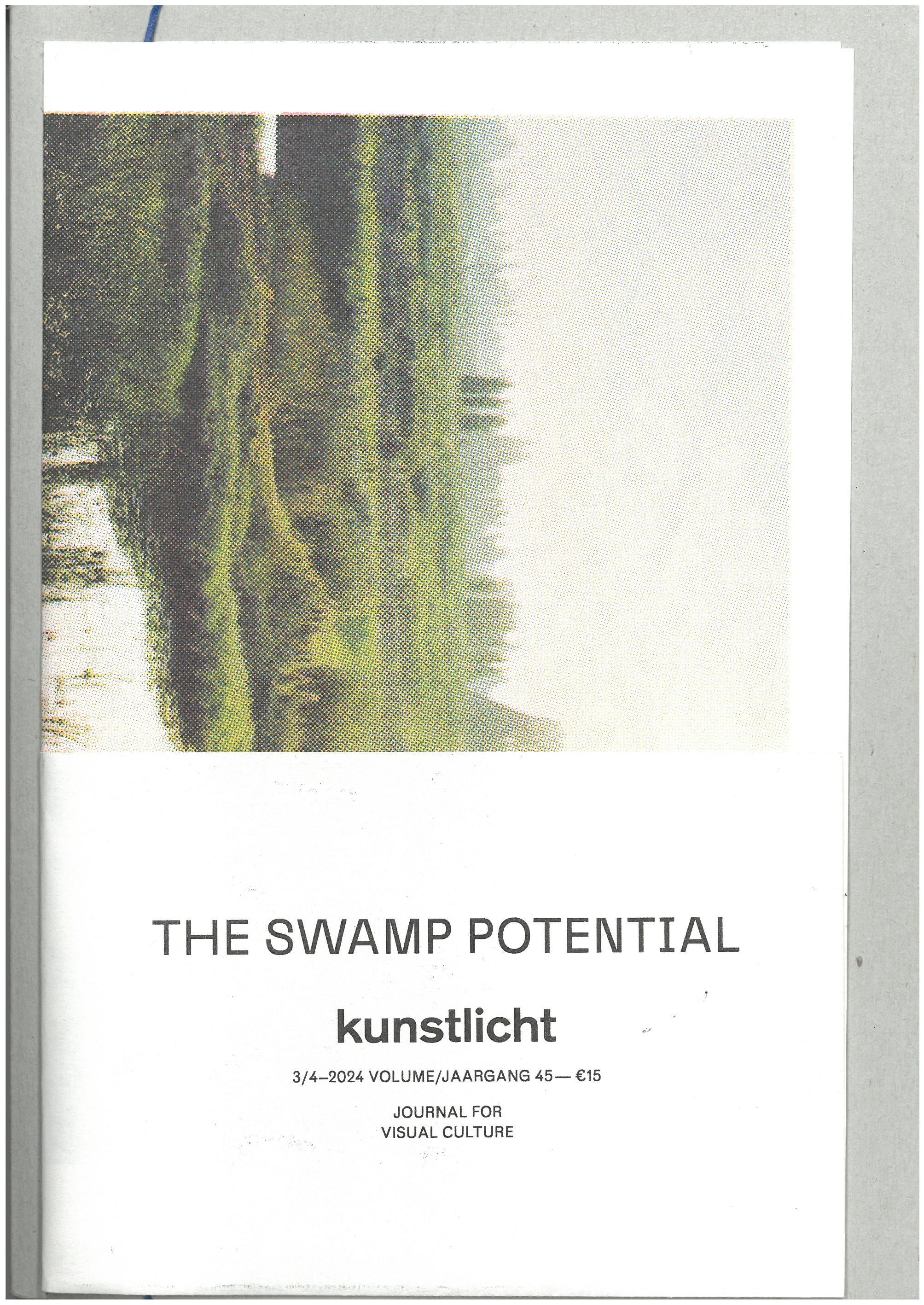 The Swamp Potential