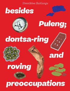 Simnikiwe Buhlungu: 'Besides Puleng; dontsa-ring and roving preoccupations'