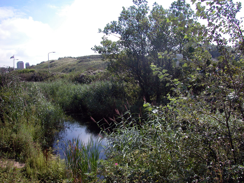 Krijn Giezen 'Haagse Beek' foto: Stroom Den Haag
