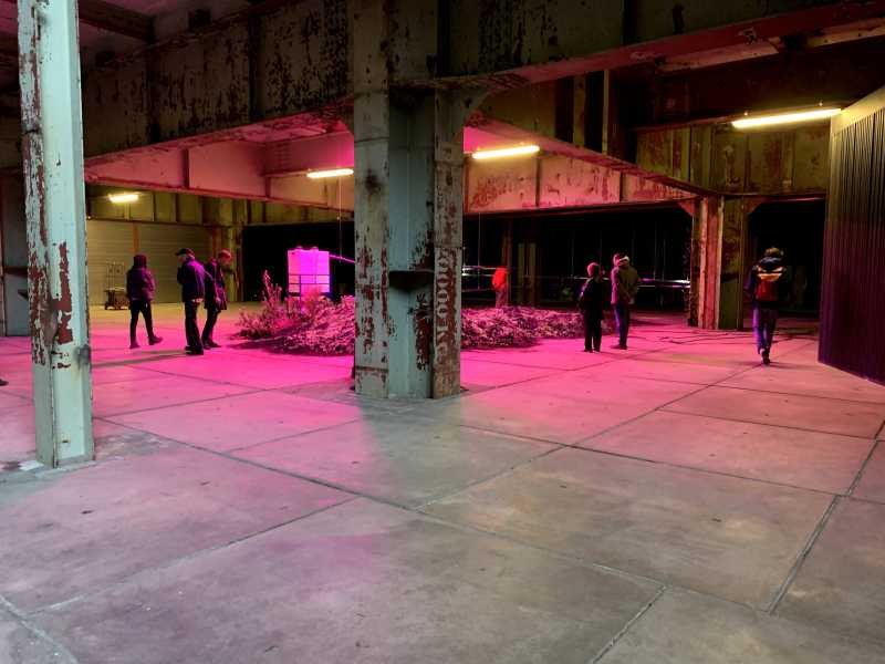 Foto: Stroom Den Haag