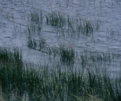 Lucy Cordes Engelman, 'The Temple of Nehalennia', video still foto: courtesy the artist