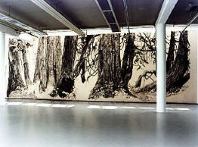 Evergreen - Kunst/natuur/stad