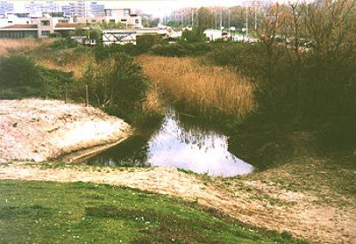 begin van Haagse Beek