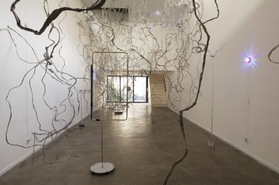 Dunja Herzog: The Word For World Is Forest foto: © 1646
