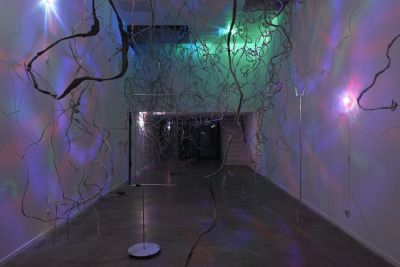 Dunja Herzog: The Word For World Is Forest foto: © 1646