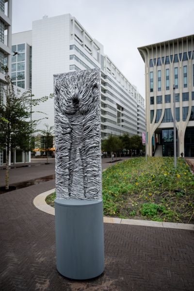 Foto: Sander Foederer