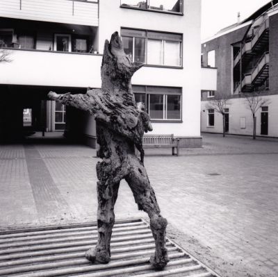 Ingrid Rollema, 'Weer- of geenweerwolf in schaapskleren' foto: Rob Kollaard, courtesy Stroom Den Haag