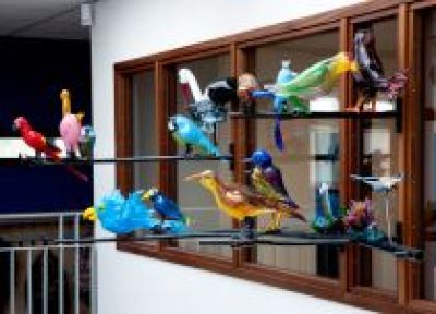 Maria Roosen, '32 Vogels van glas', 2015 foto: © Gert Jan van Rooij, courtesy Stroom Den Haag